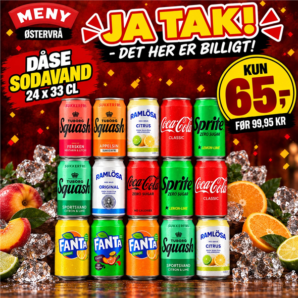 24 DÅSER SODAVAND